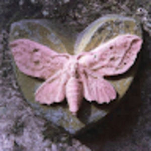 Meet your Posher, Matias